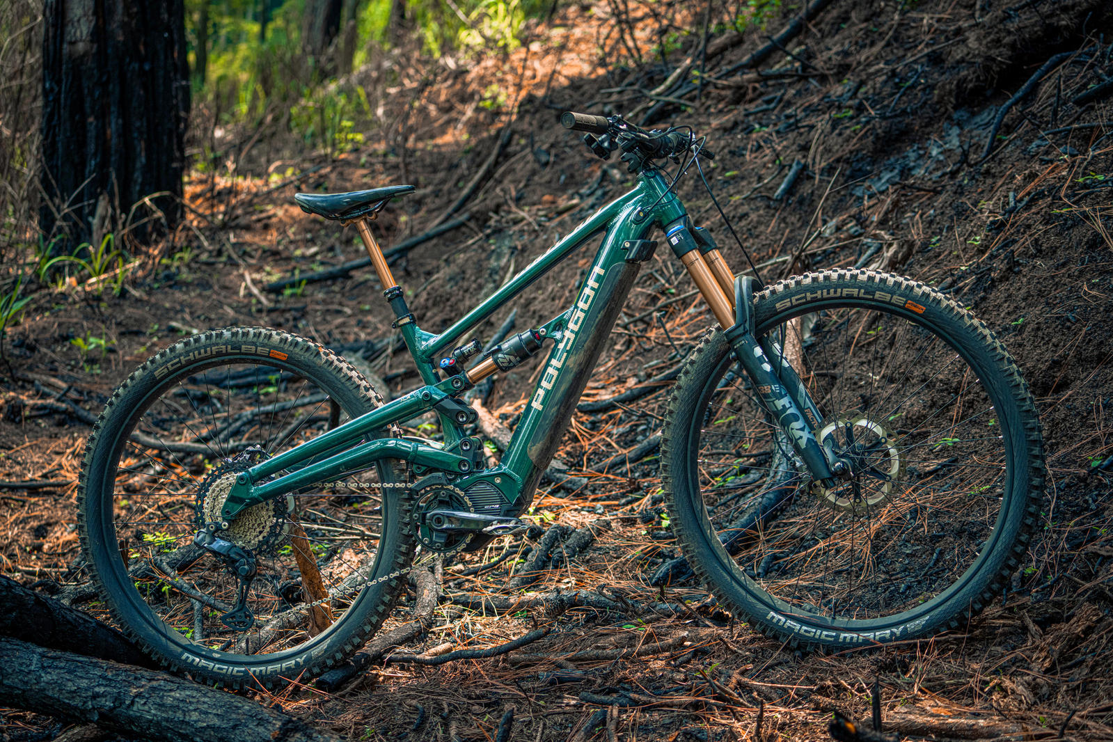 2024 Polygon Collosus N8XE - All Mountain eBike