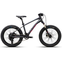 2024 Polygon Xtrada 20 - Kids Bike