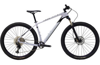 2024 Polygon Syncline C2 - Carbon XC Mountain Bike - Small only