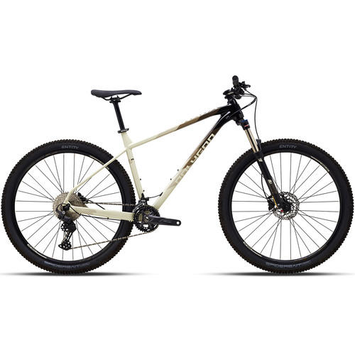 29er mountain bike for sale near me